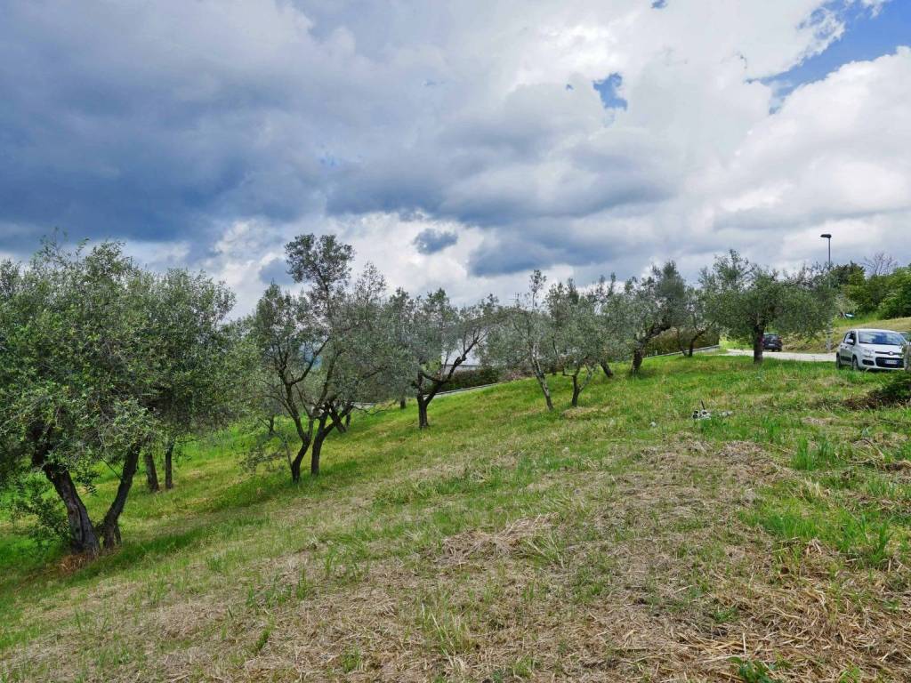 Terreno a Montopoli di sabina in Via Casenuove Granari, 20 - Foto 4