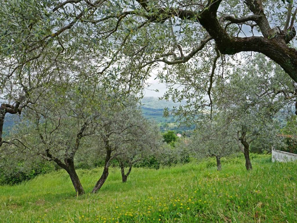 Terreno a Montopoli di sabina in Via Casenuove Granari, 20 - Foto 5