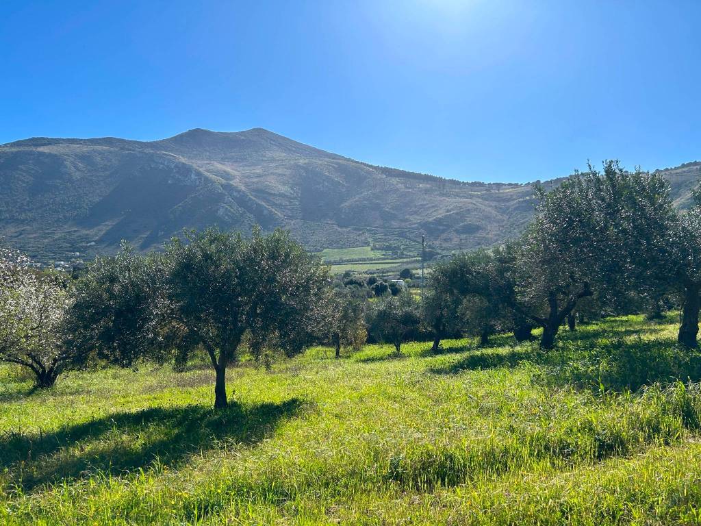 Terreno a Castellammare del golfo in Contrada Fraginesi - Foto 4