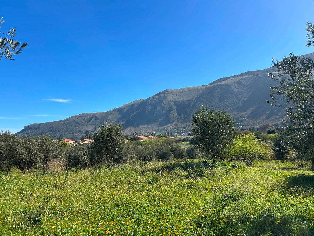 Terreno a Castellammare del golfo in Contrada Fraginesi - Foto 5