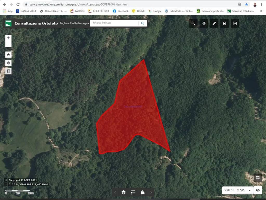 Terreno a Carpineti - Foto 2