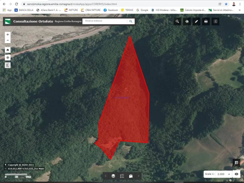 Terreno a Carpineti - Foto 3