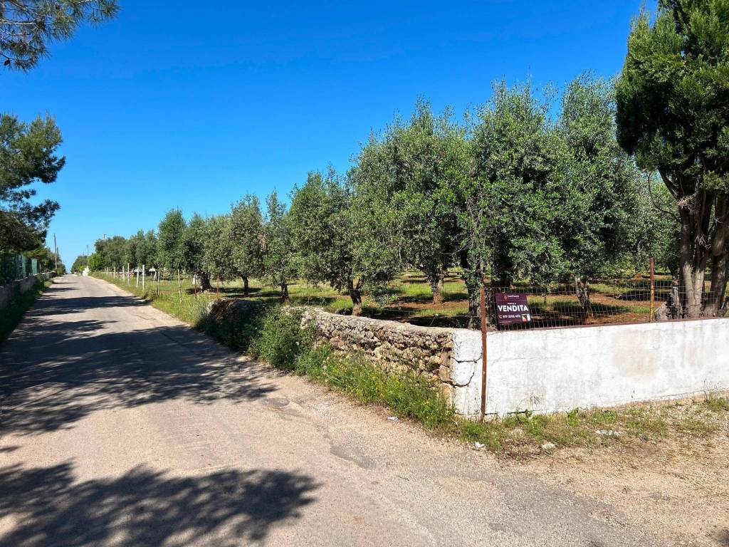 Terreno a Grottaglie in Via delle Primule, 53 - Foto 4