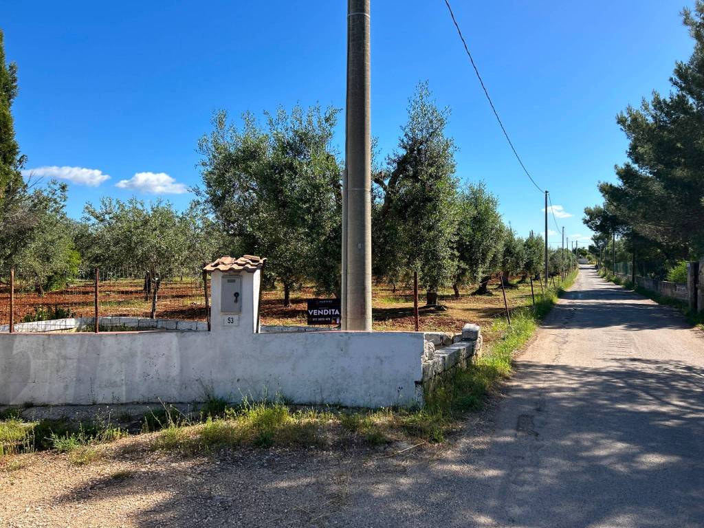 Terreno a Grottaglie in Via delle Primule, 53 - Foto 5