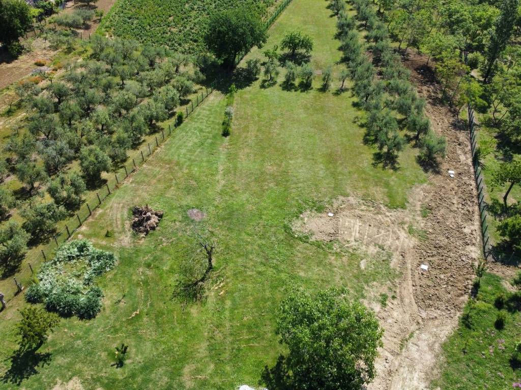 Villa a Riccione - Foto 3