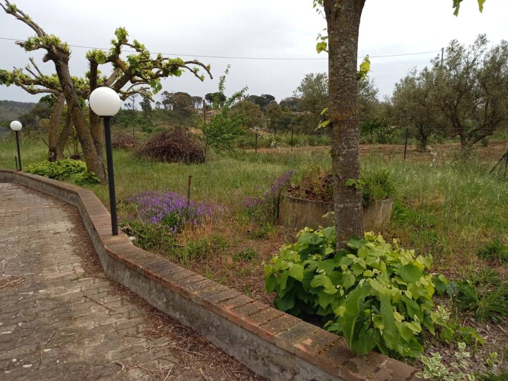 Villa a Piazza armerina in Contrada Sambuco - Foto 4
