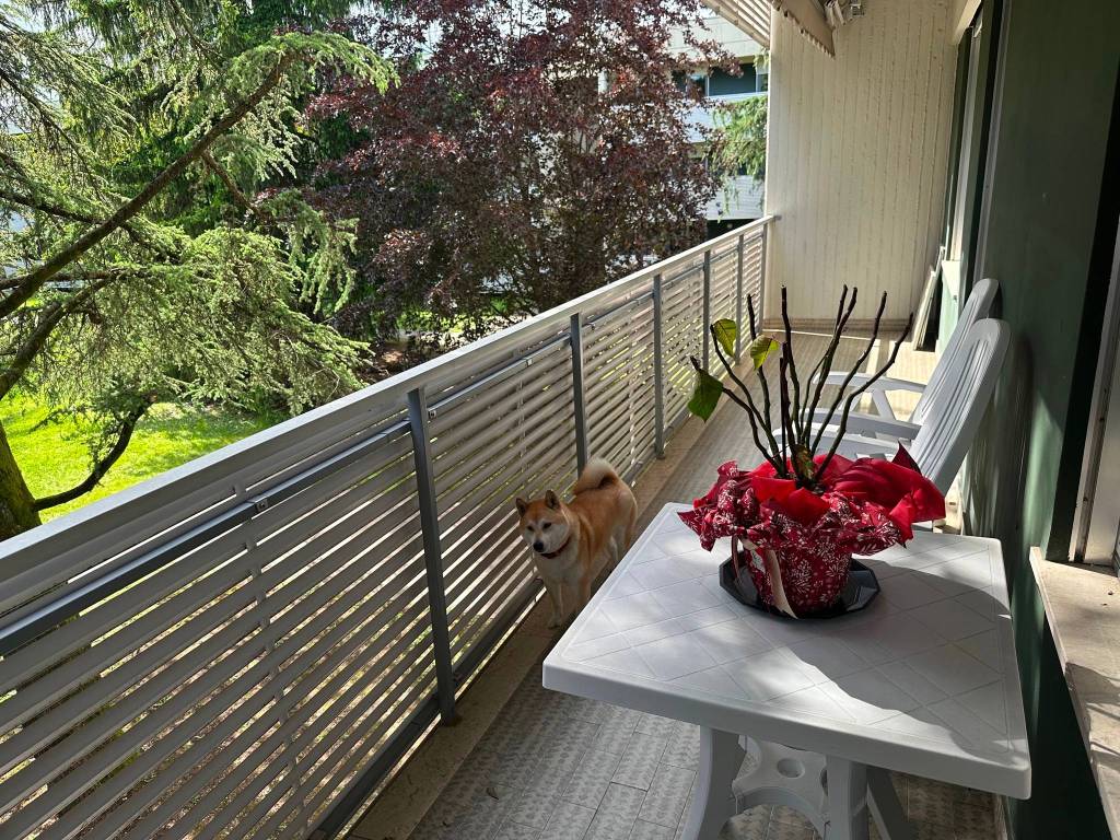 Appartamento a Udine in Via Pradamano, 6 - Foto 5