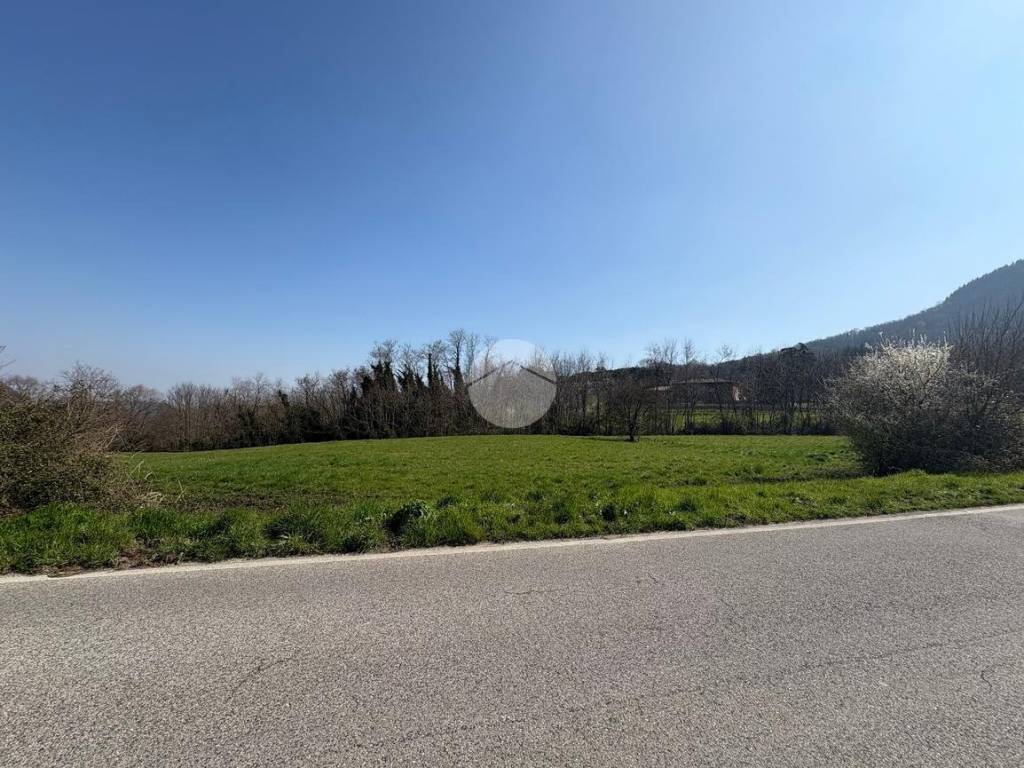 Terreno a Torreglia in TERRENO Via Abate Barbieri, 21 - Foto 2