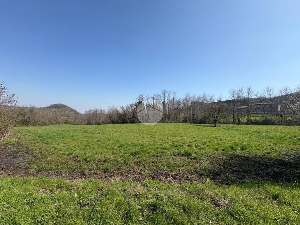 Terreno a Torreglia in TERRENO Via Abate Barbieri, 21 - Foto 4