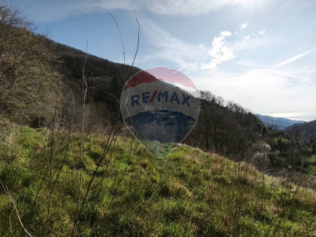 Terreno a Varazze - Foto 5