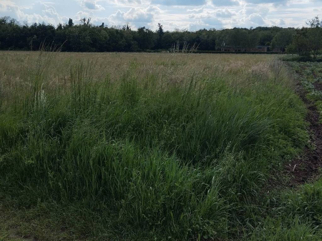 Terreno a Samarate in Via Como - Foto 2