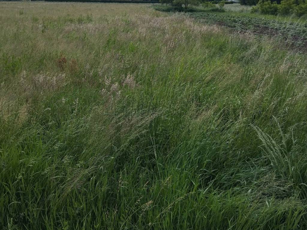 Terreno a Samarate in Via Como - Foto 3