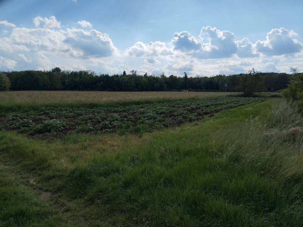 Terreno a Samarate in Via Como - Foto 5