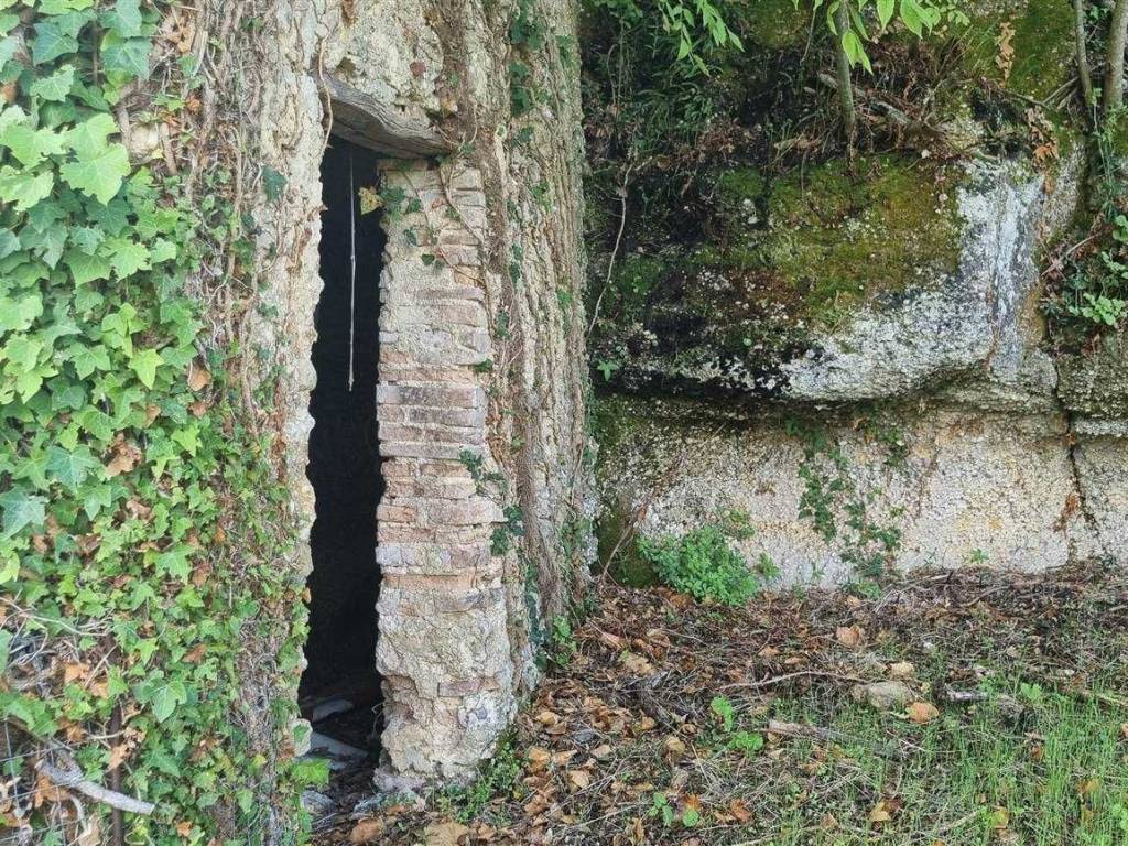 Rustico / casale a Poggio nativo in via mirtense - Foto 3