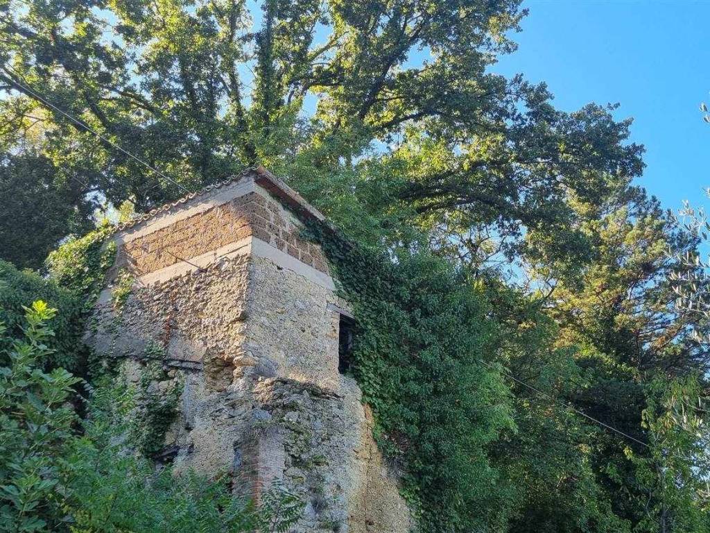 Rustico / casale a Poggio nativo in via mirtense - Foto 5