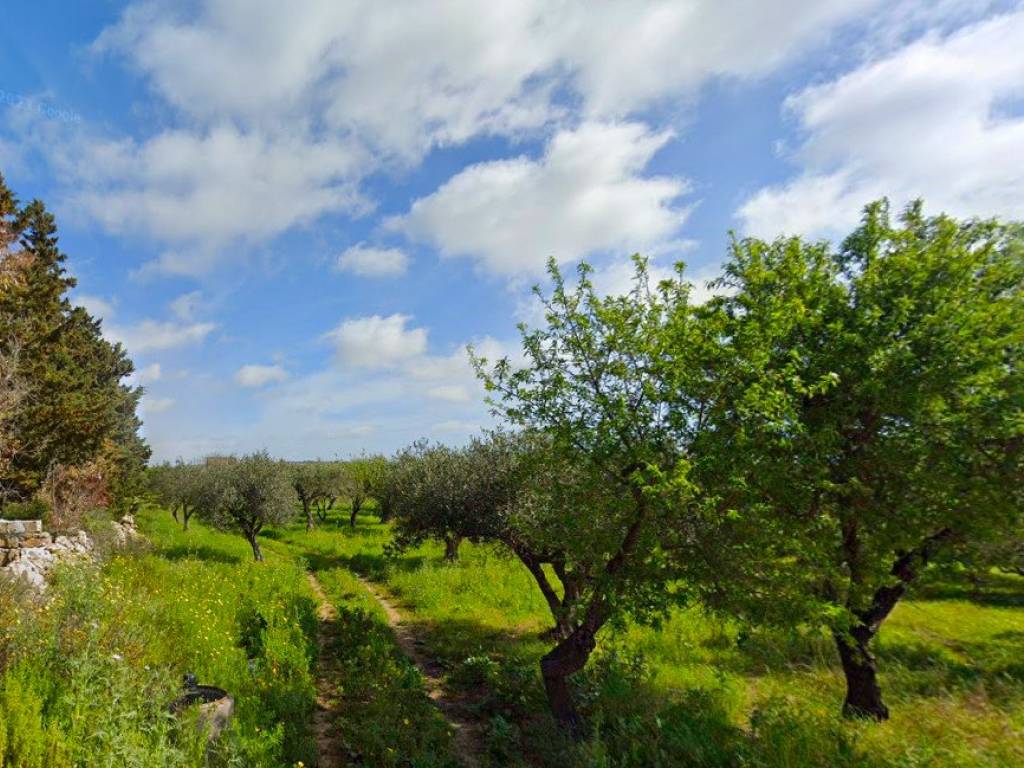 Terreno a Mazara del vallo - Foto 2