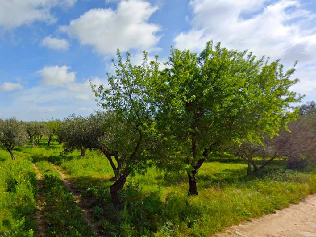 Terreno a Mazara del vallo - Foto 3