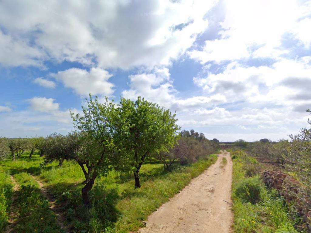 Terreno a Mazara del vallo - Foto 4