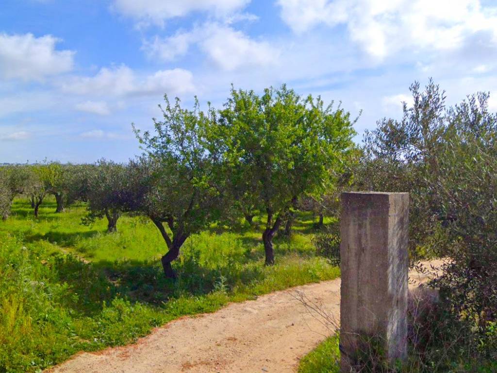 Terreno a Mazara del vallo - Foto 5