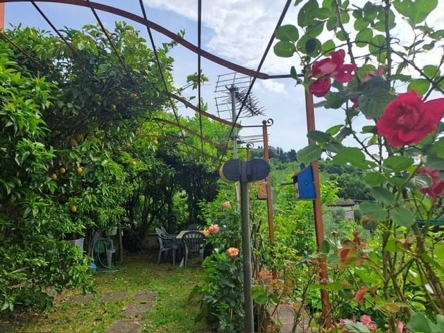 Villa a Buggiano in VIA CASTELLO - Foto 5