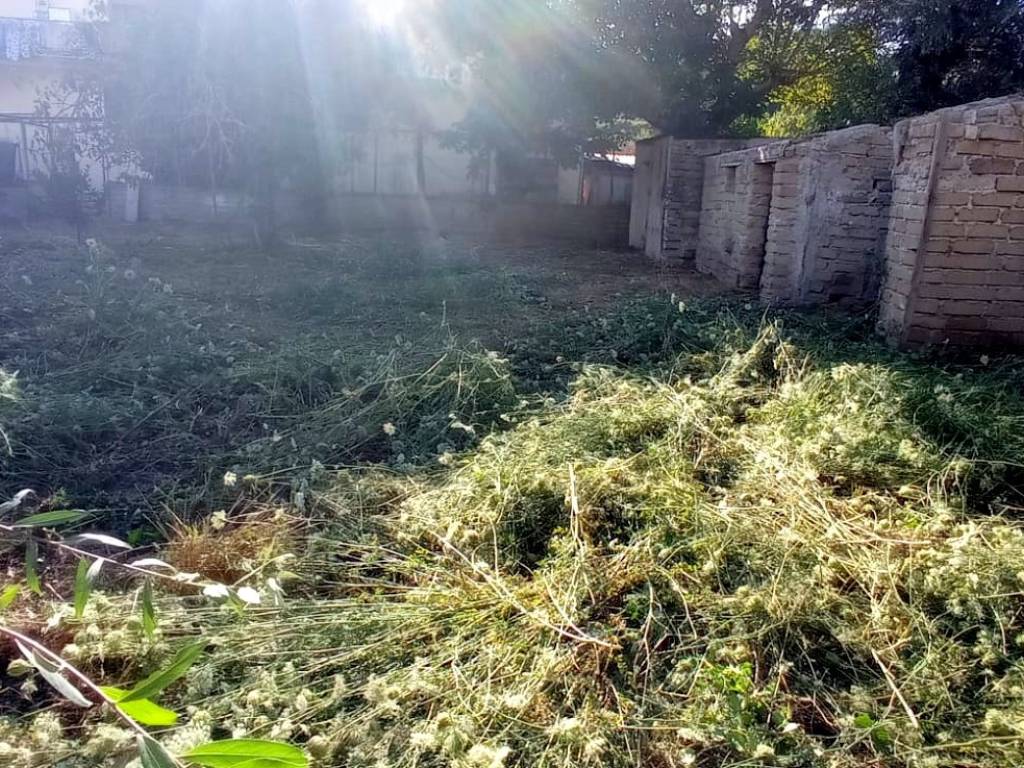Terreno a Roma in Via Andrea Arditi, 30 - Foto 2