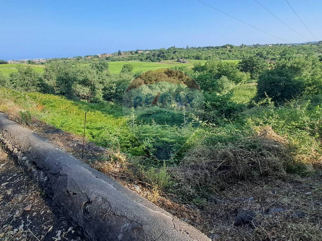 Terreno a Santa venerina in Via Riggio - Foto 2