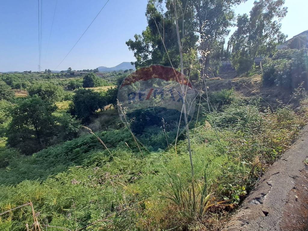 Terreno a Santa venerina in Via Riggio - Foto 3