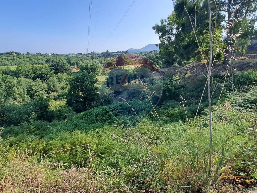 Terreno a Santa venerina in Via Riggio - Foto 5
