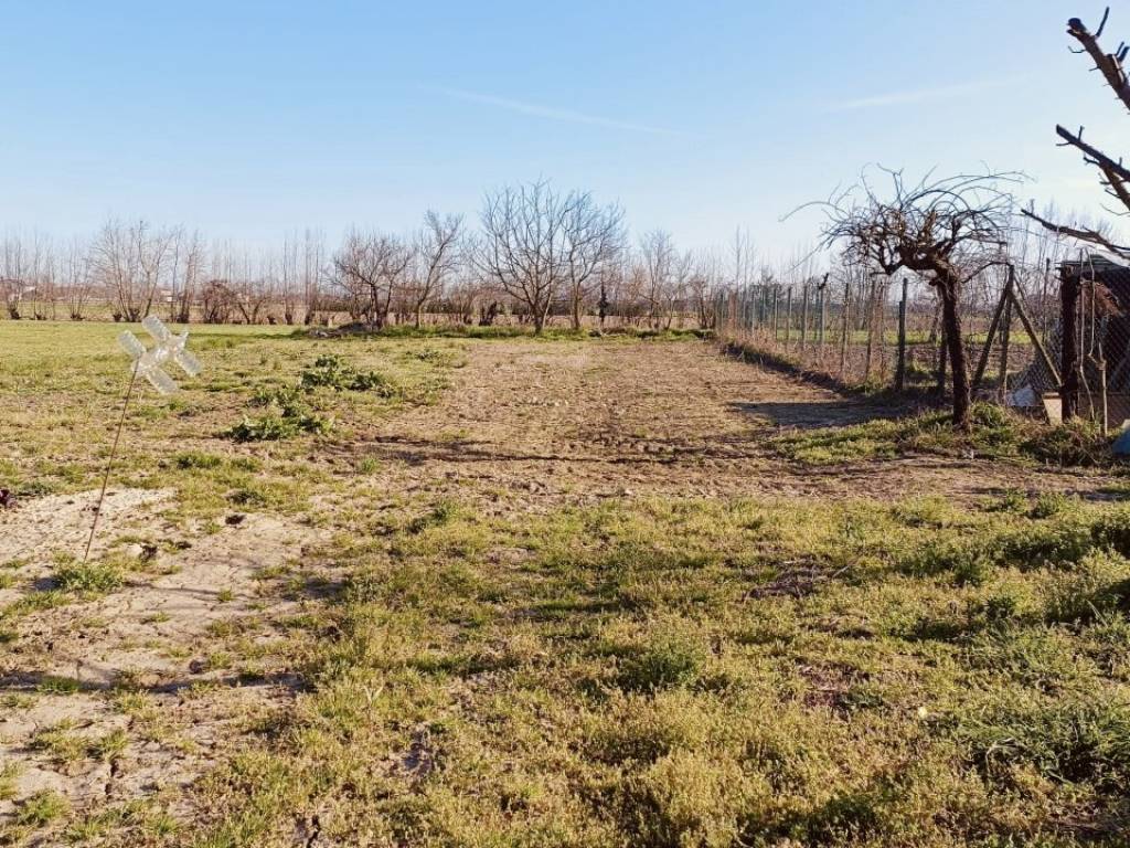 Rustico / casale a Sant'angelo di piove di sacco - Foto 3