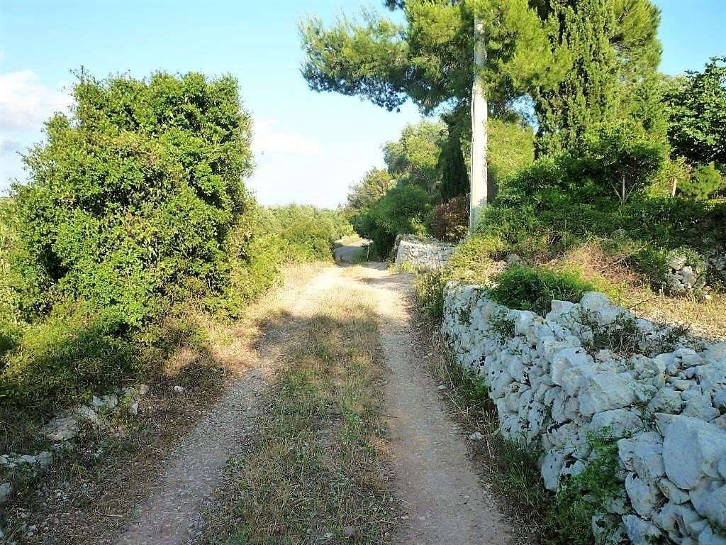 Terreno a Salve - Foto 3