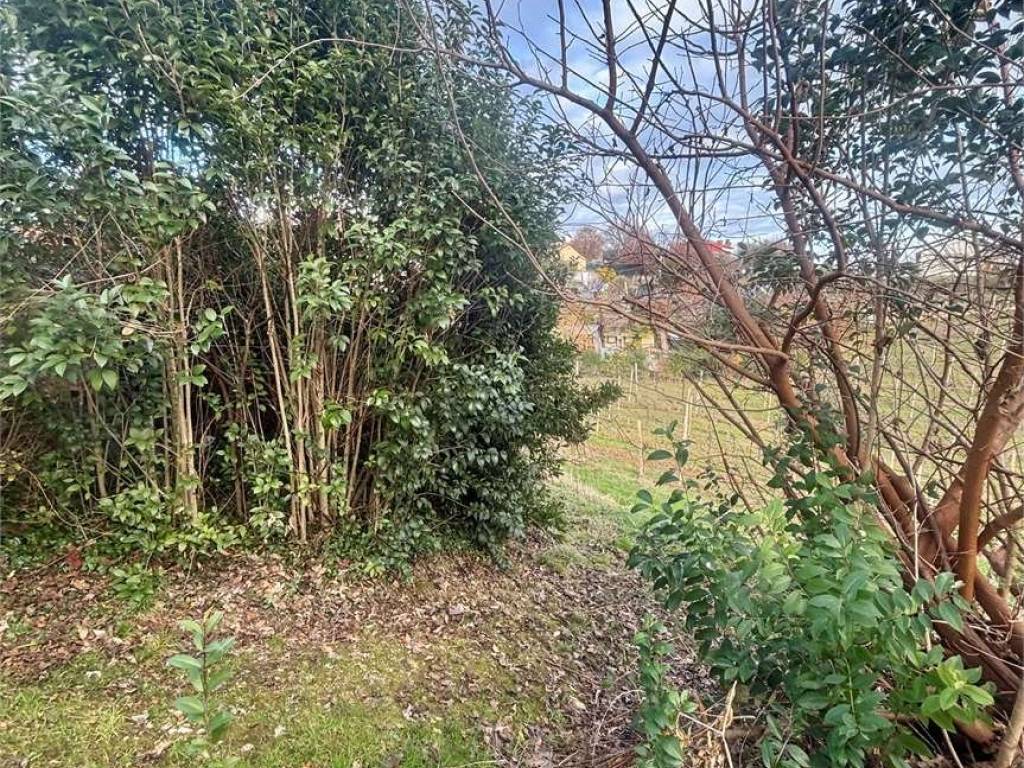 Terreno a San pietro di feletto - Foto 5