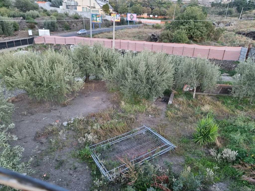 Terreno a Bronte in Via Rondinella S.N.C. - Foto 3
