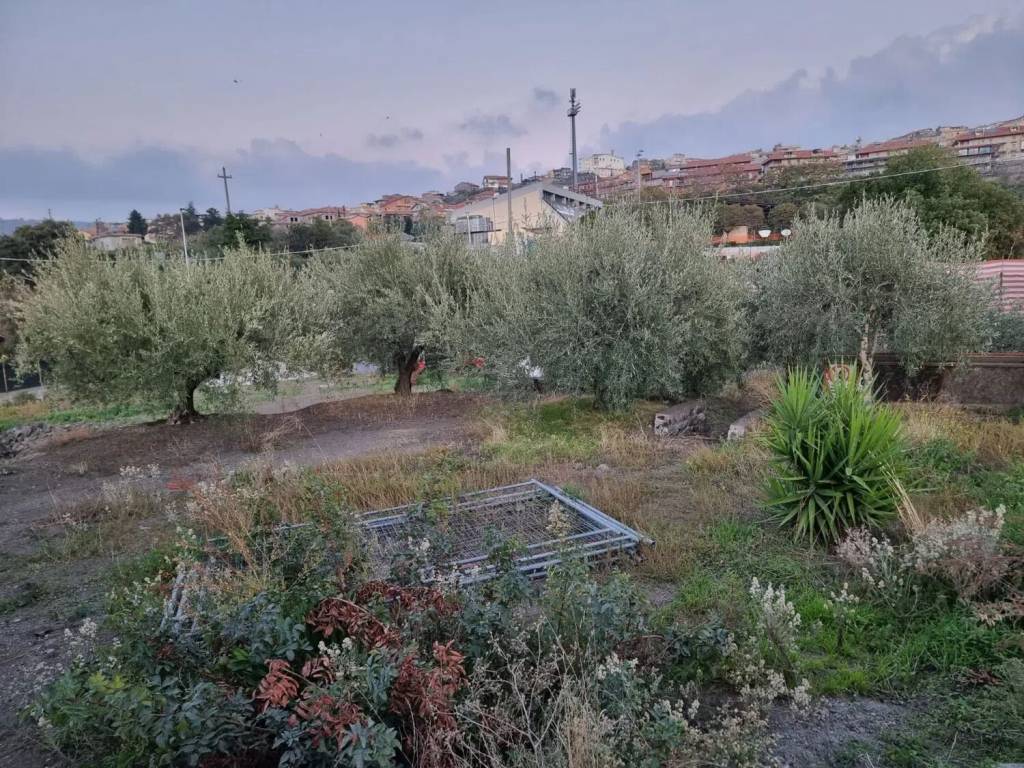 Terreno a Bronte in Via Rondinella S.N.C. - Foto 5