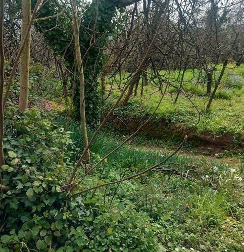 Terreno a Baronissi in Via Gioacchino Rossini - Foto 2