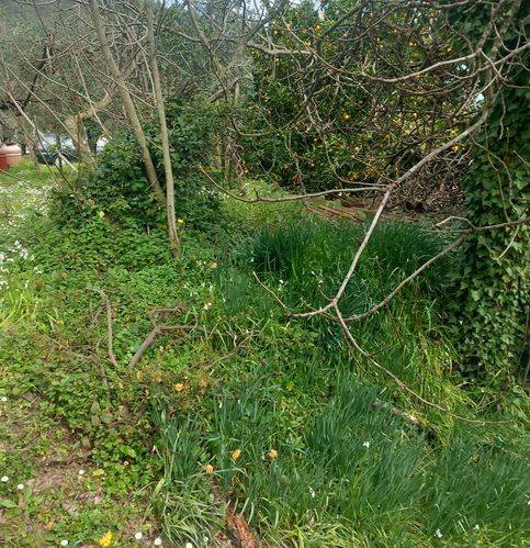 Terreno a Baronissi in Via Gioacchino Rossini - Foto 4