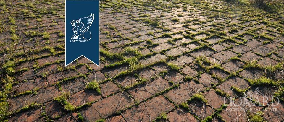 Rustico / casale a Legnago - Foto 5