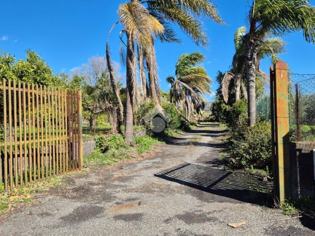 Terreno a Piedimonte etneo in Via Castagneto Nuovo - Foto 2