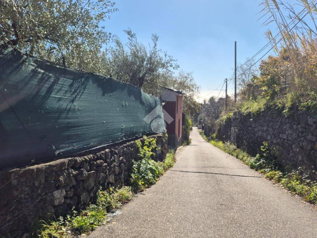 Terreno a Piedimonte etneo in Via Castagneto Nuovo - Foto 3