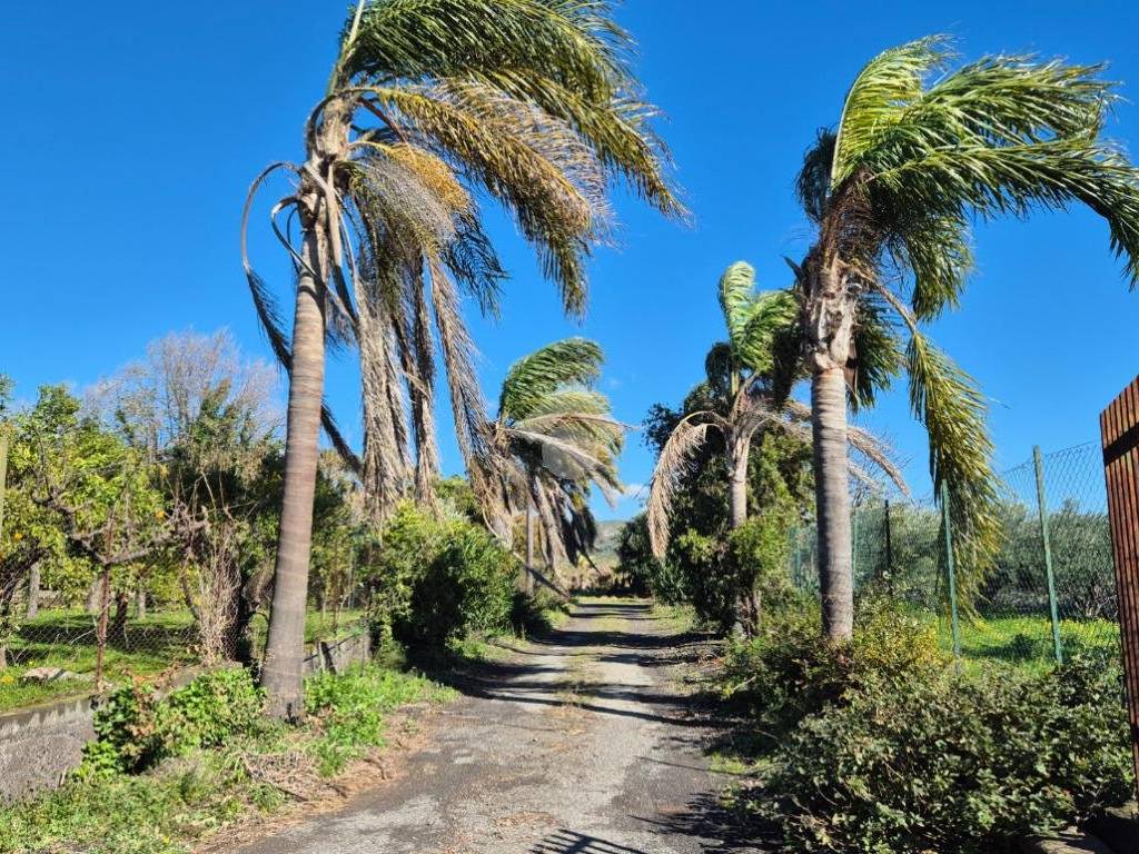 Terreno a Piedimonte etneo in Via Castagneto Nuovo - Foto 4