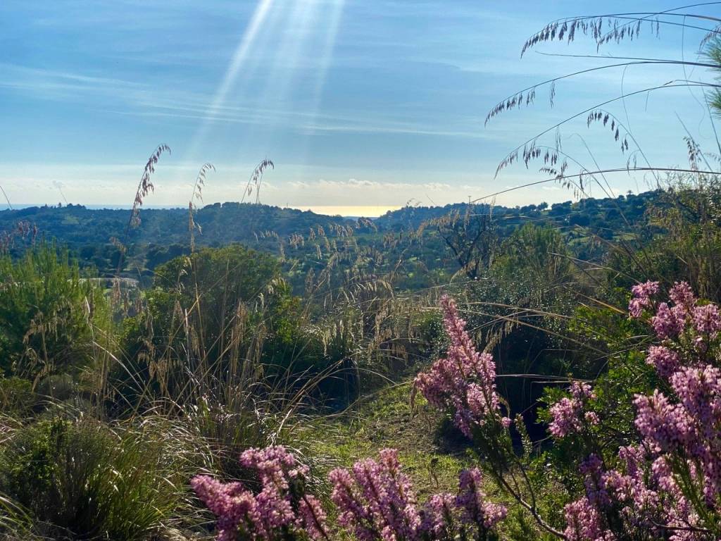 Terreno a Noto - Foto 3