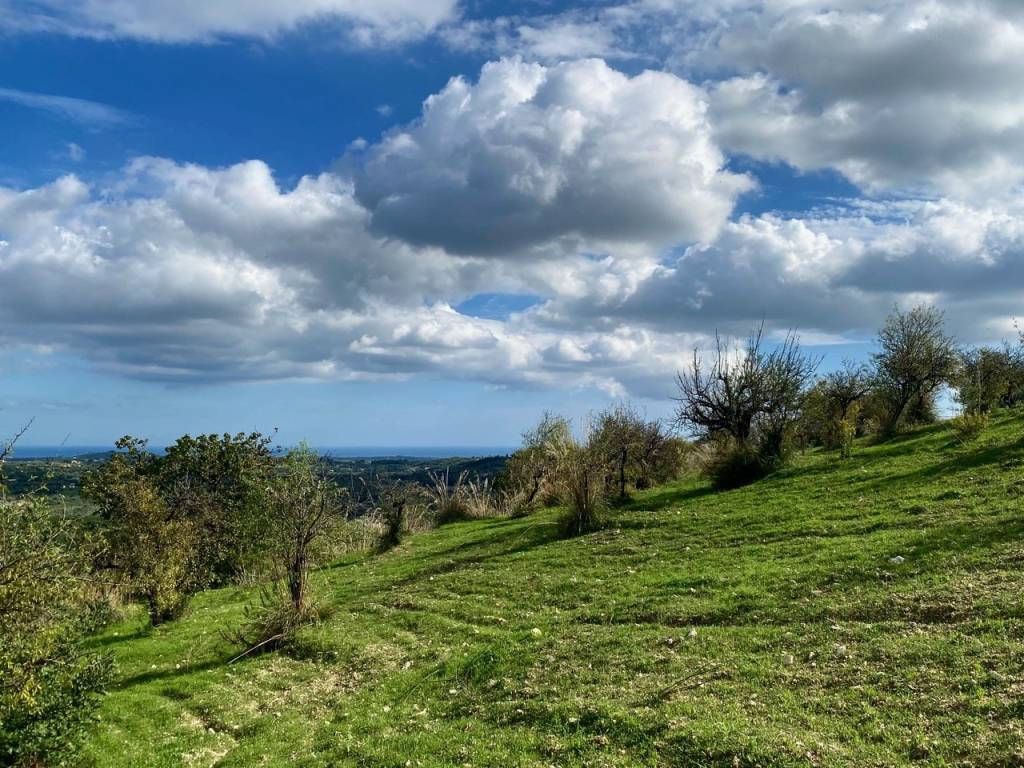 Terreno a Noto - Foto 4