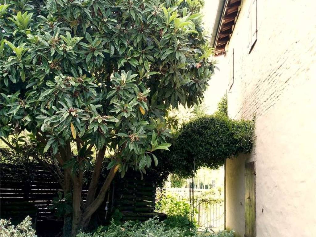 Appartamento a Piombino dese - Foto 5