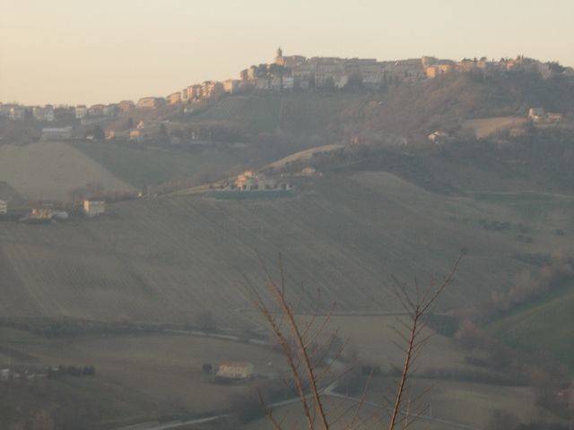 Terreno a Ripatransone in contrada - Foto 2