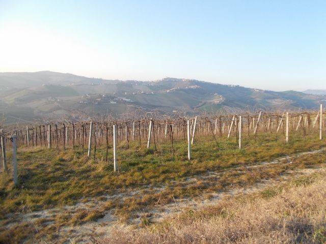 Terreno a Ripatransone in contrada - Foto 4