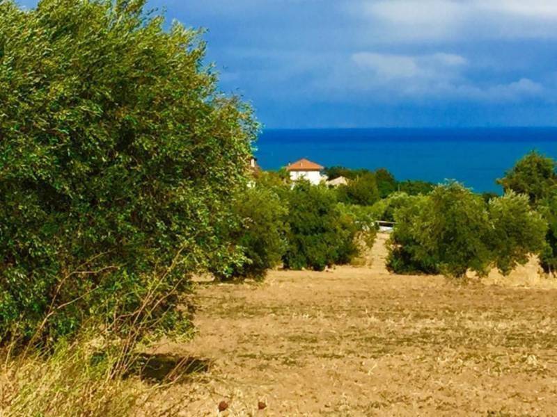 Terreno a Cupra marittima - Foto 4