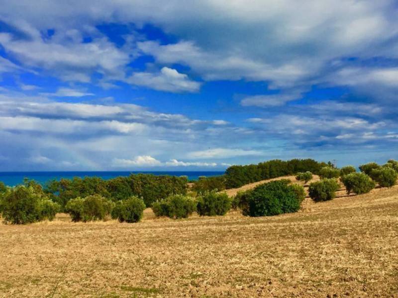 Rustico / casale a Cupra marittima - Foto 5