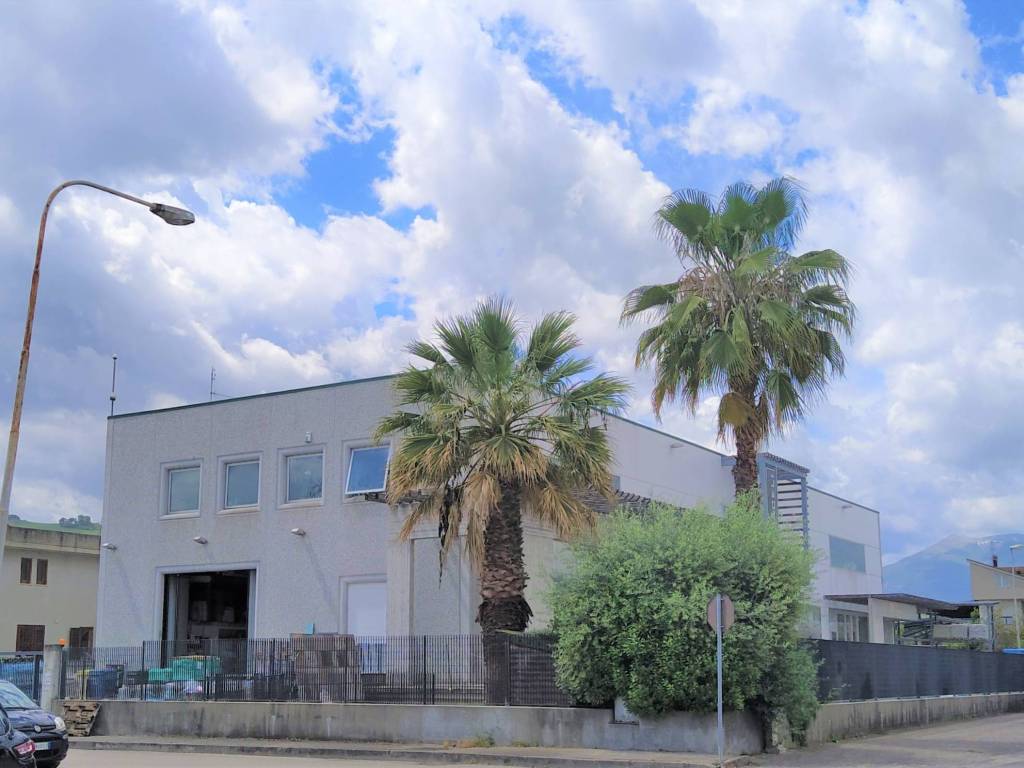 Immobile a Spinetoli - Foto 2