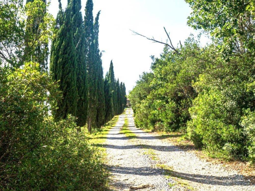 Villa a Monterotondo marittimo - Foto 2