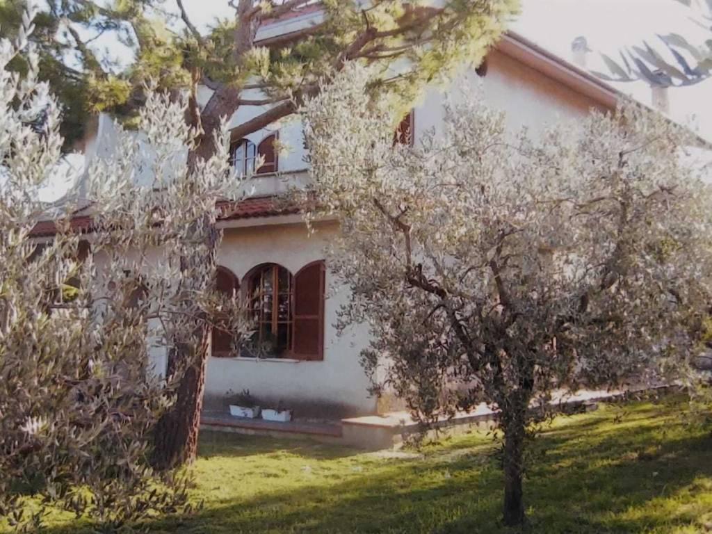Villa a Monteprandone - Foto 4