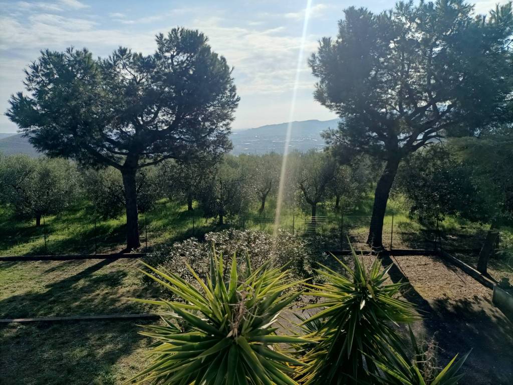 Villa a Monteprandone - Foto 5